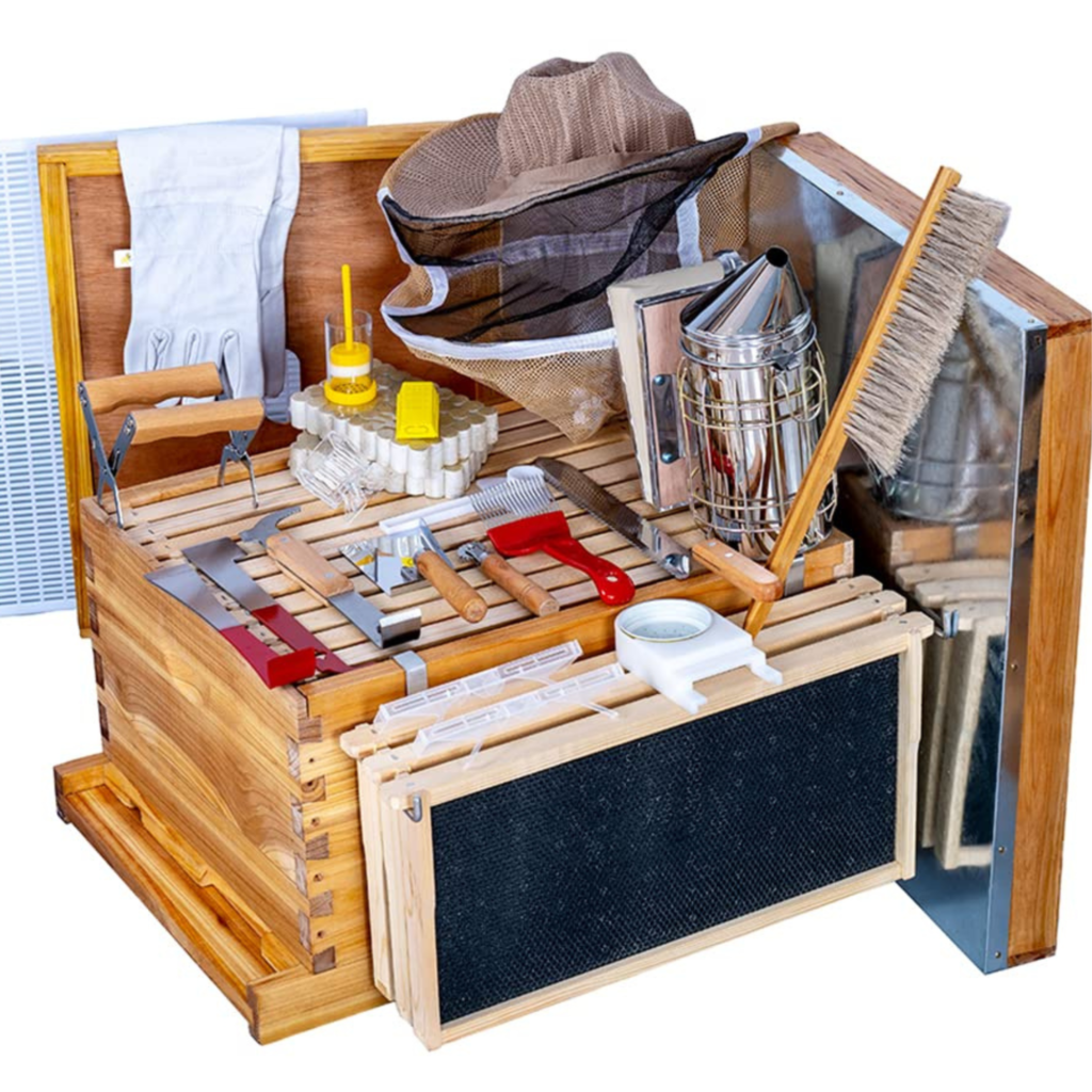 Bee Keeping Starter Pack by HoneyBee