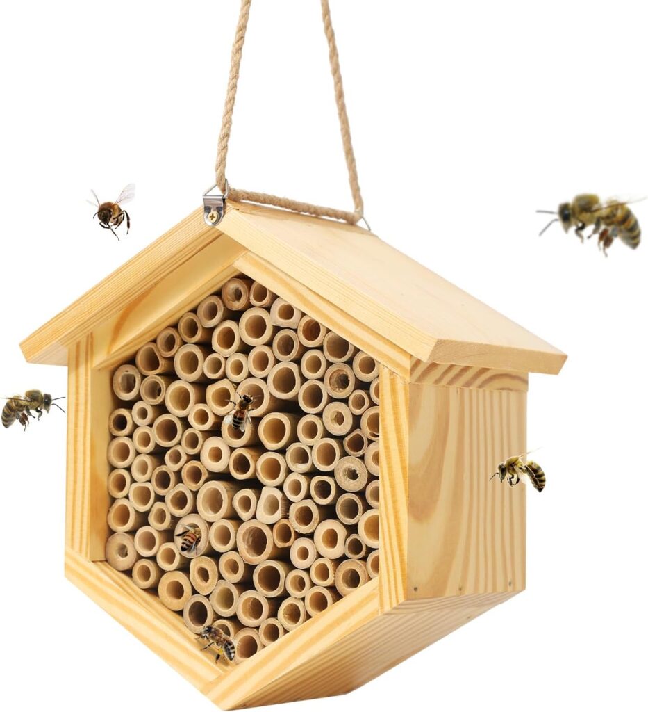 Mason bee House
