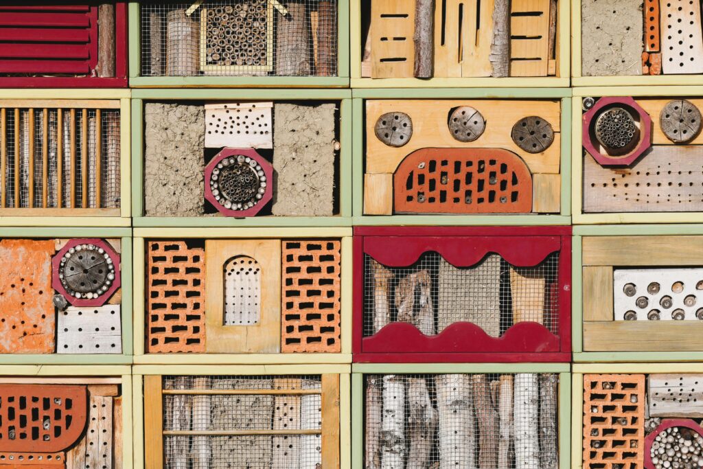 Bee Hive Designs & Plans