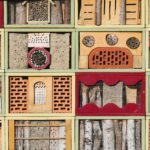 Bee Hive Designs & Plans