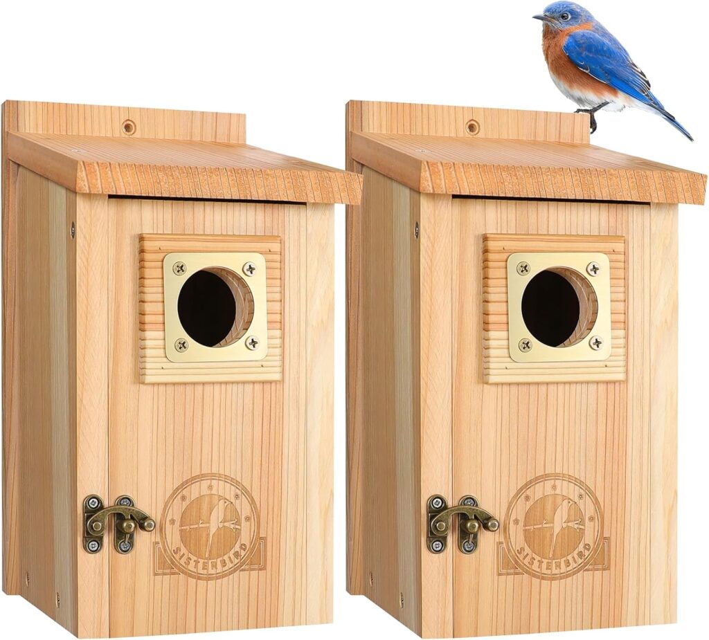 Sisterbird 2 Pack of Bird Houses